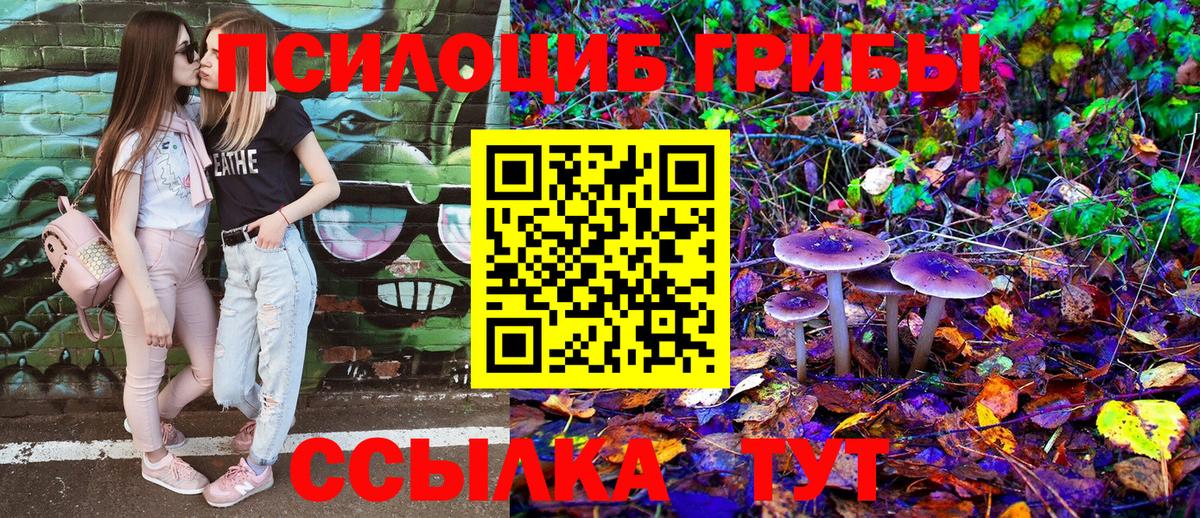 Галлюциногенные грибы Cubensis Каменск-Уральский