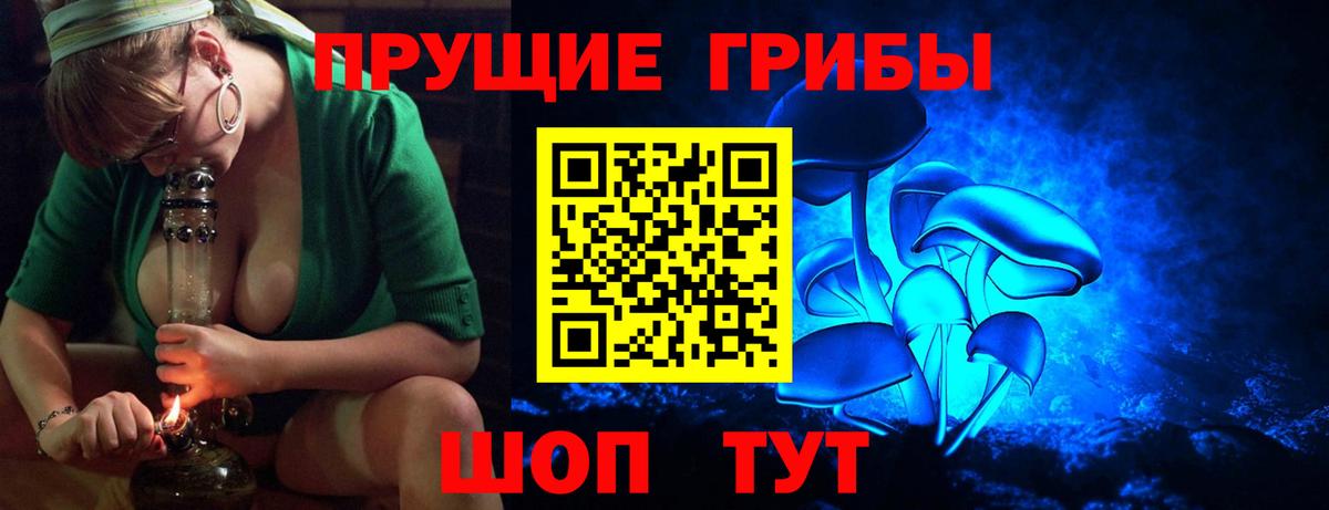 Каменск-Уральский  купить наркотики цена  Вход с VPN  Псилоцибиновые грибы Magic Shrooms 